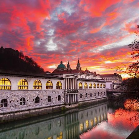 Apartment Silver Ljubljana Dış mekan fotoğraf