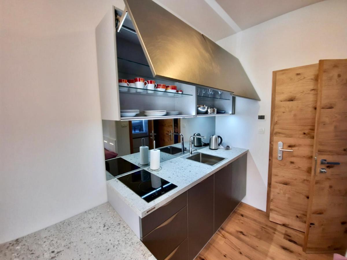 Apartment Silver Ljubljana Dış mekan fotoğraf