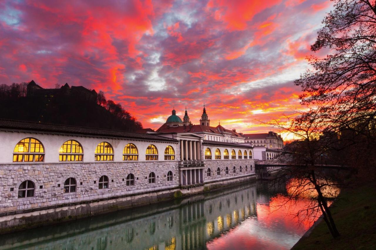 Apartment Silver Ljubljana Dış mekan fotoğraf