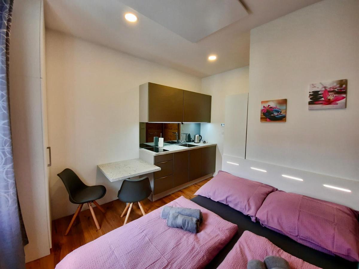 Apartment Silver Ljubljana Dış mekan fotoğraf