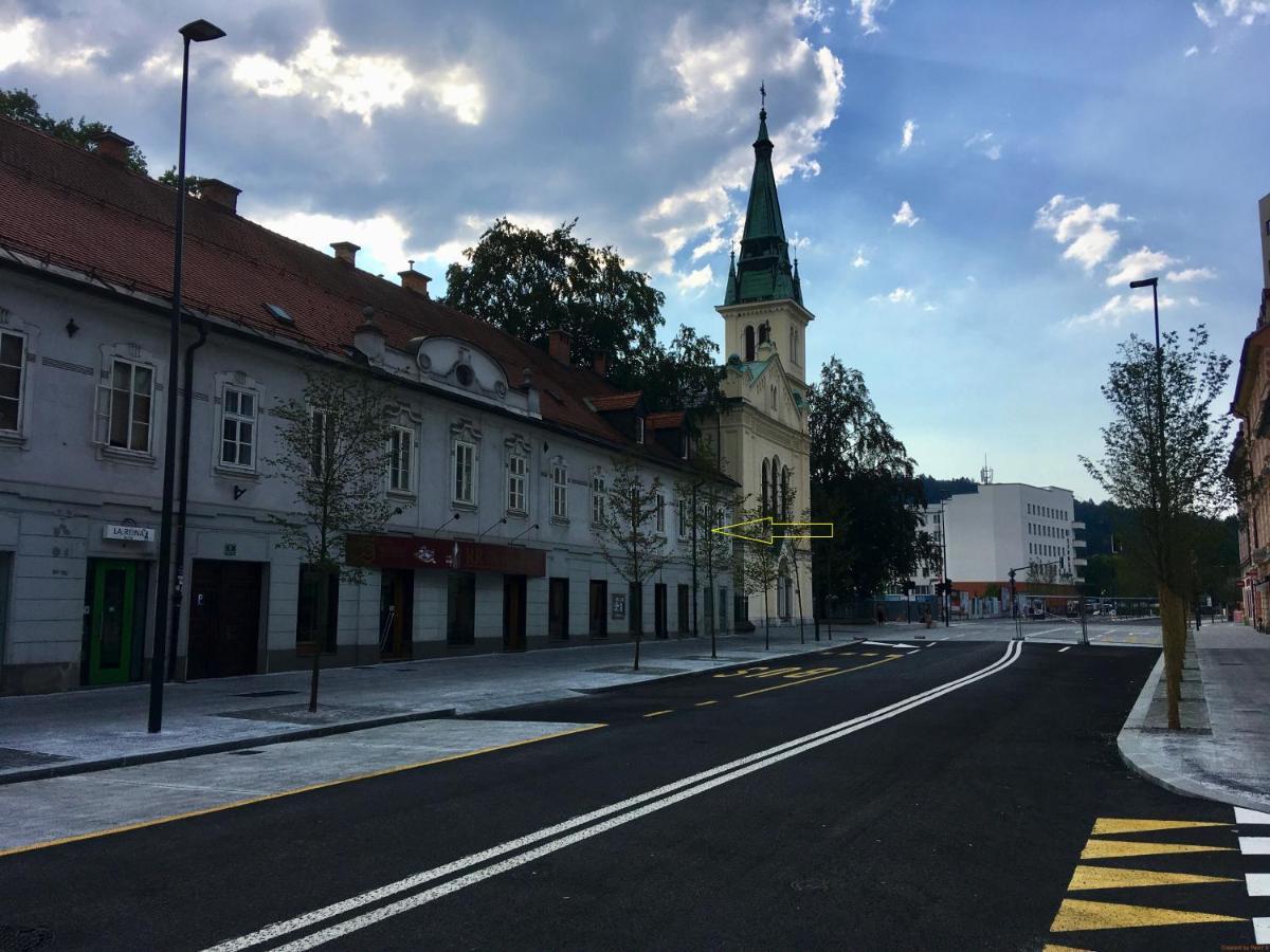 Apartment Silver Ljubljana Dış mekan fotoğraf
