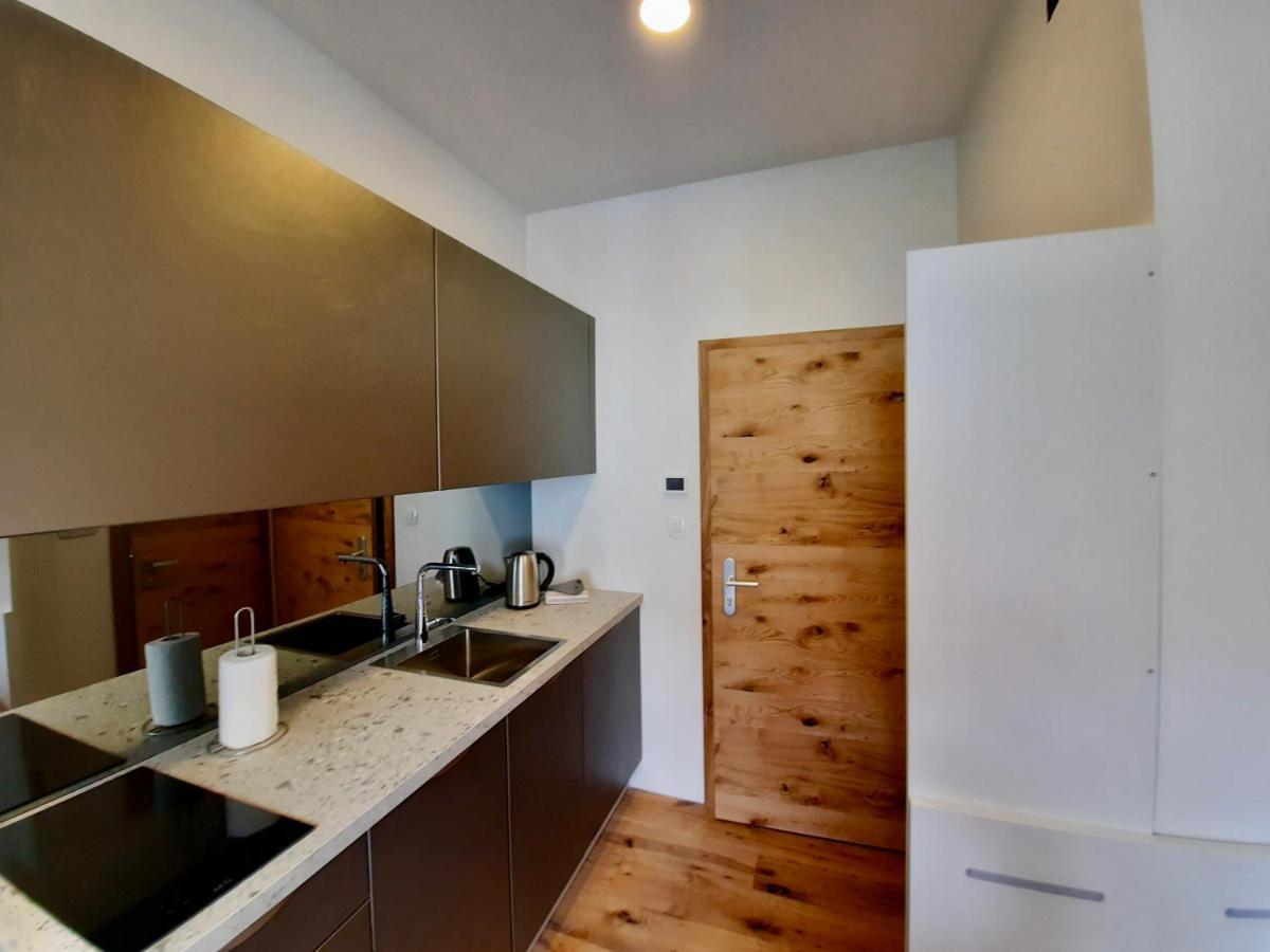 Apartment Silver Ljubljana Dış mekan fotoğraf