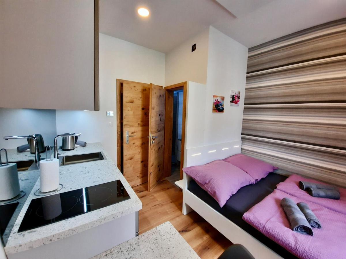 Apartment Silver Ljubljana Dış mekan fotoğraf